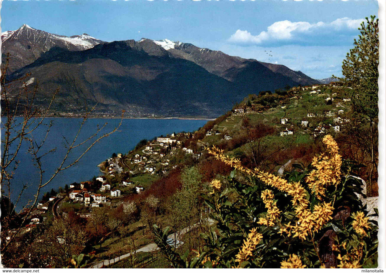 San Nazzaro - Lago Maggiore (6737) - San Nazzaro