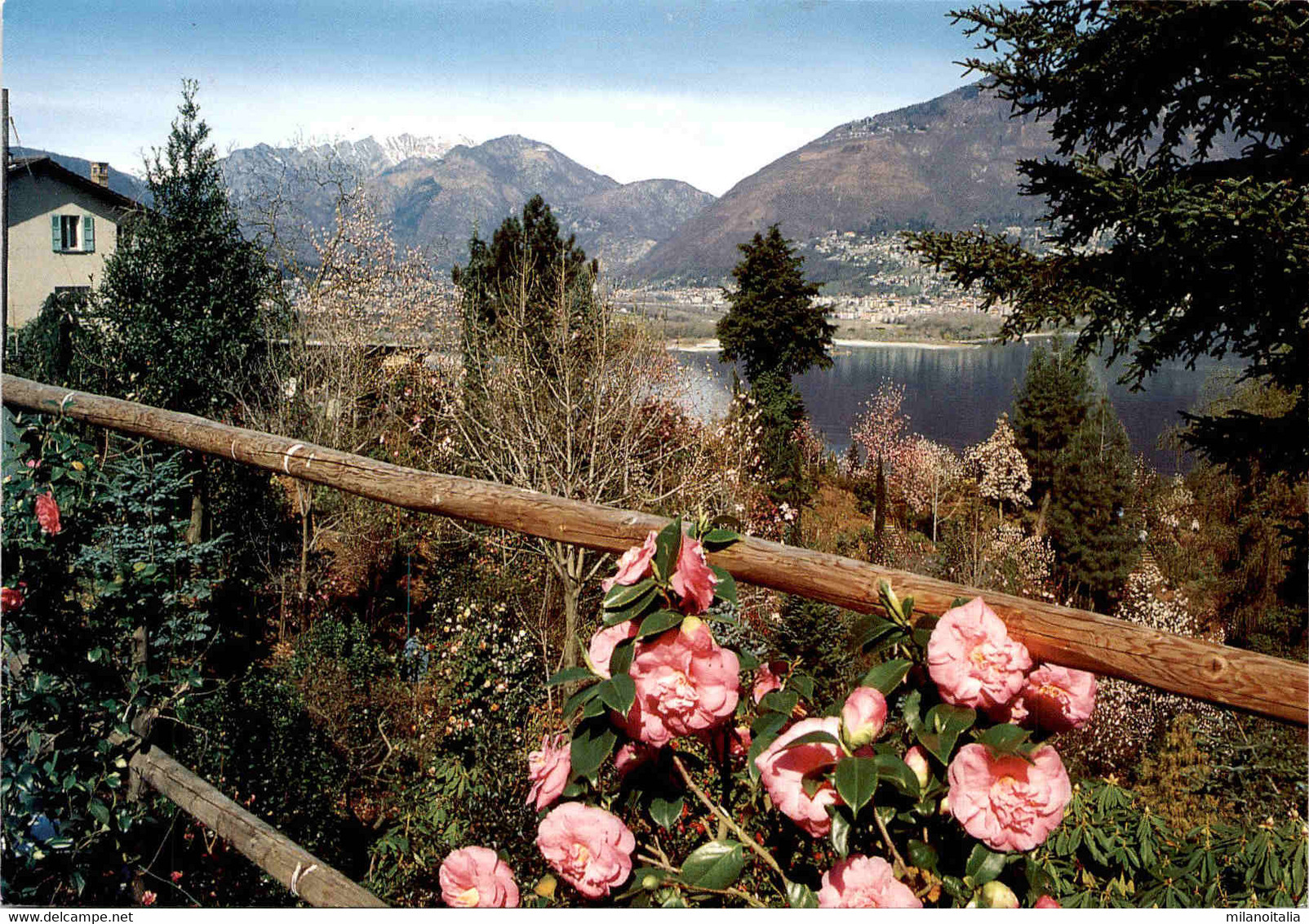 Parco Botanico "Valle Di Derbor" - San Nazzaro (12865) - San Nazzaro
