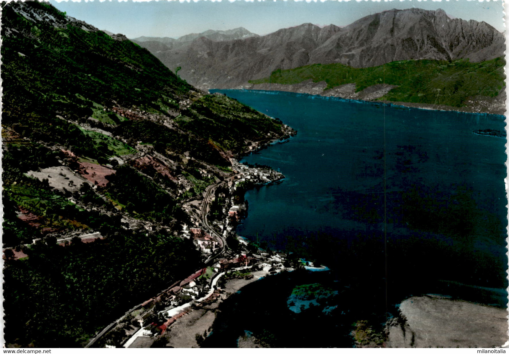 Aerofoto Di Magadino E Vira-Gambarogno - Lago Maggiore (773-7) * 15. 9. 1972 - Magadino