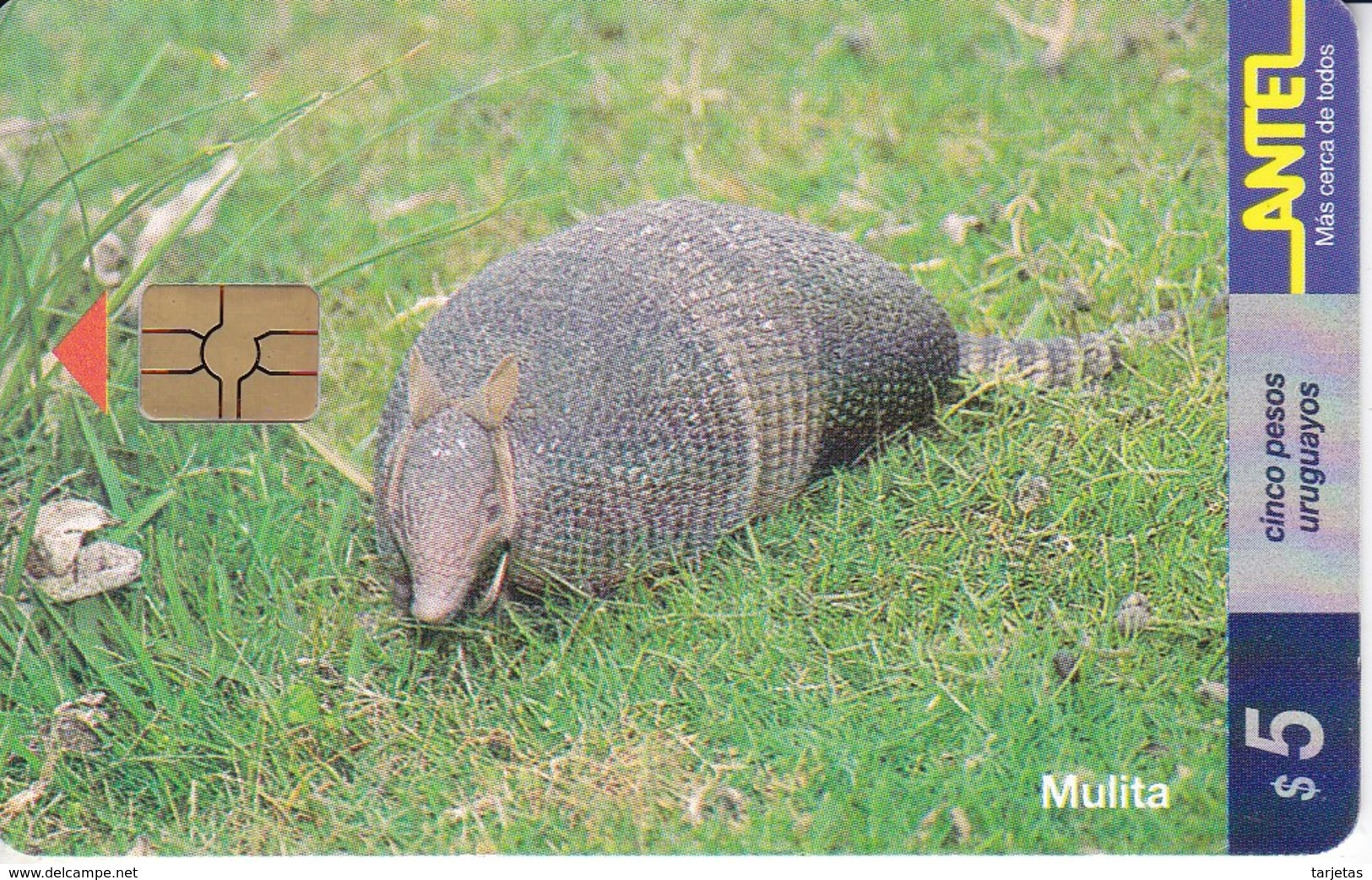 Nº 92 (CHIP ROJO) TARJETA DE URUGUAY DE UNA MULITA (ARMADILLO) - Uruguay