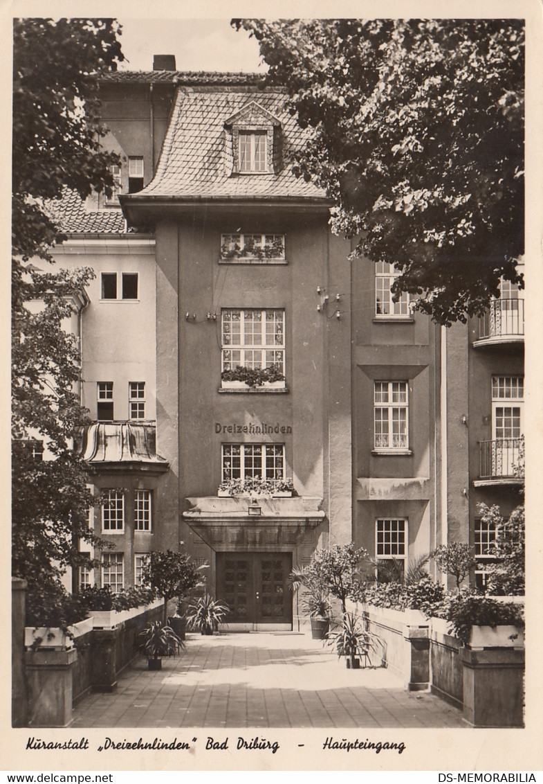 Bad Driburg - Kuranstalt Dreizehnlinden 1955 - Bad Driburg