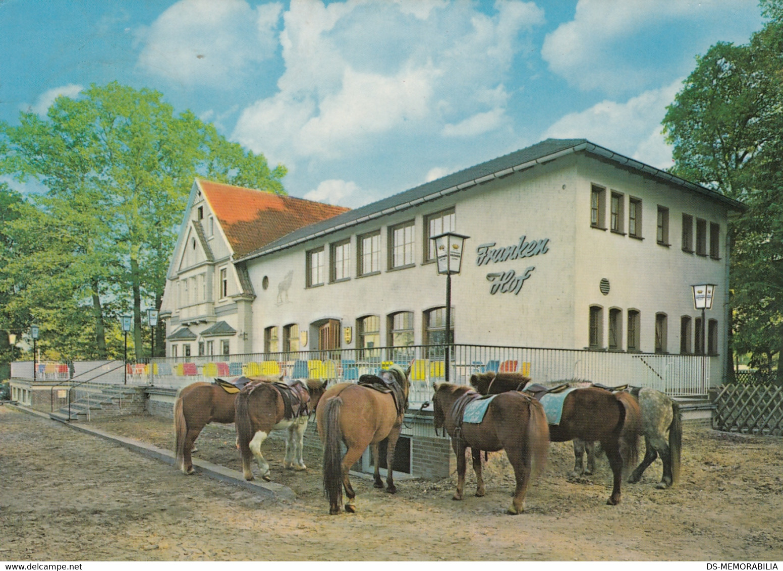 Reken Bahnhof Uber Dorsten - Hotel Pension Frankenhof Bes Heinrich Pohlmann , Pferde Horses 1966 - Dorsten