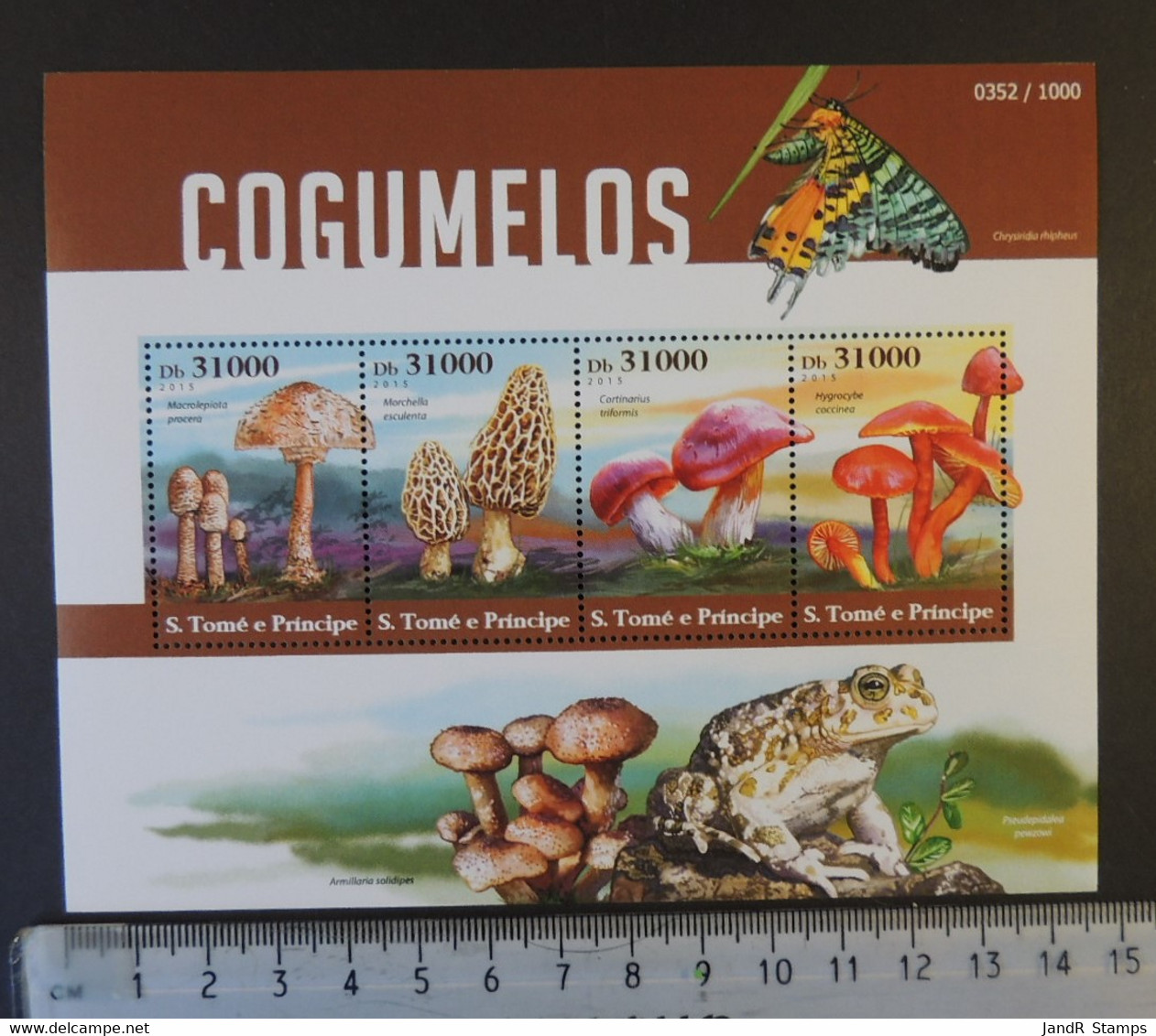 St Thomas 2015 Mushrooms Fungi M/sheet Mnh - Feuilles Complètes Et Multiples