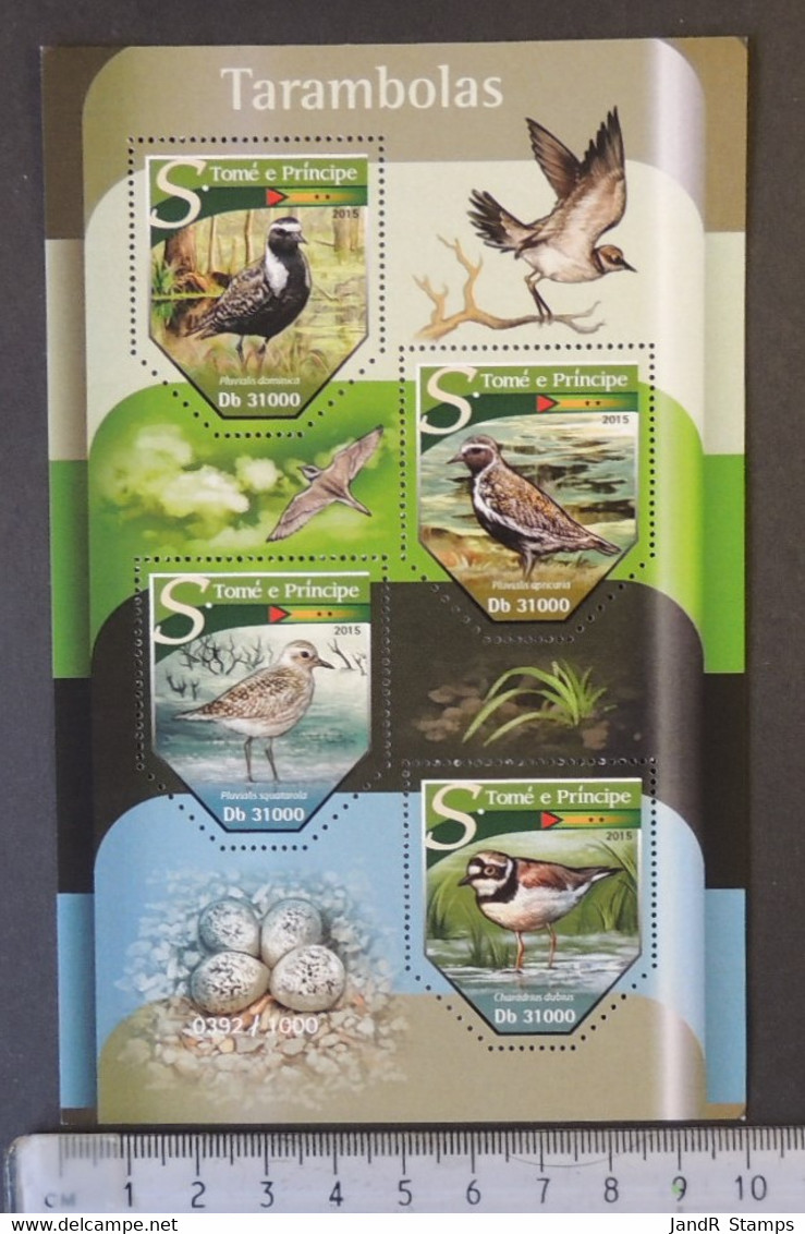 St Thomas 2015 Birds Plovers Tarambolas Eggs M/sheet Mnh - Feuilles Complètes Et Multiples