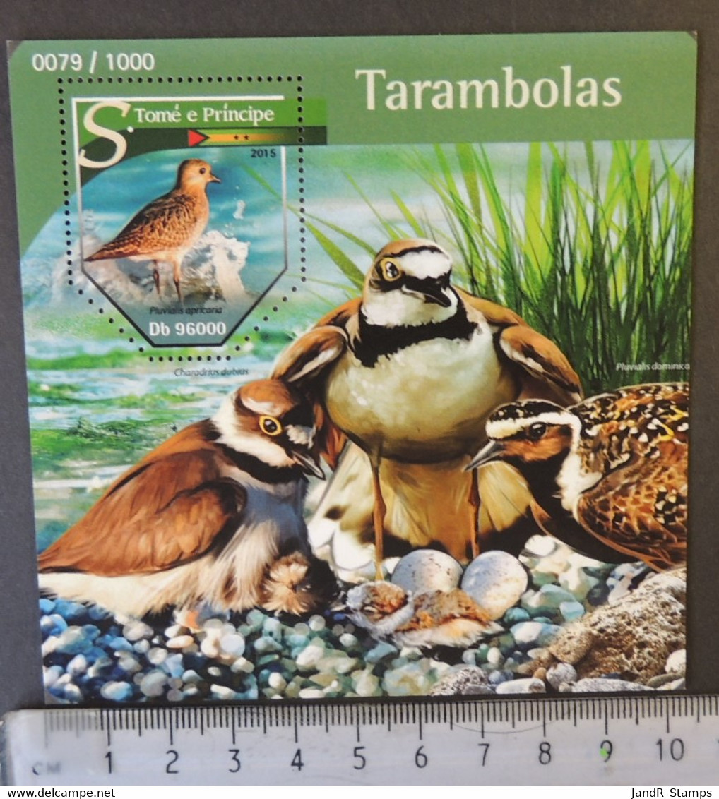 St Thomas 2015 Birds Plovers Tarambolas Eggs S/sheet Mnh - Feuilles Complètes Et Multiples