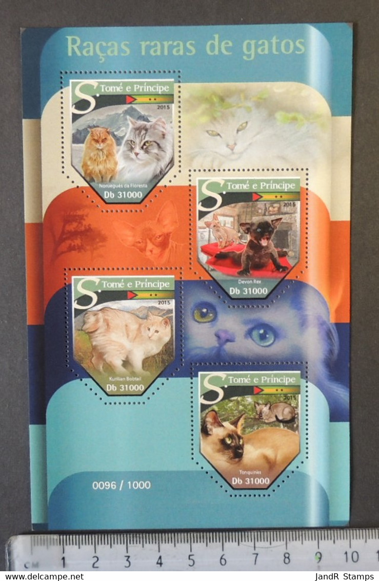 St Thomas 2015 Cats Rare Breed Domestic Bobtail Devon Rex Tonkinese Animals M/sheet Mnh - Feuilles Complètes Et Multiples