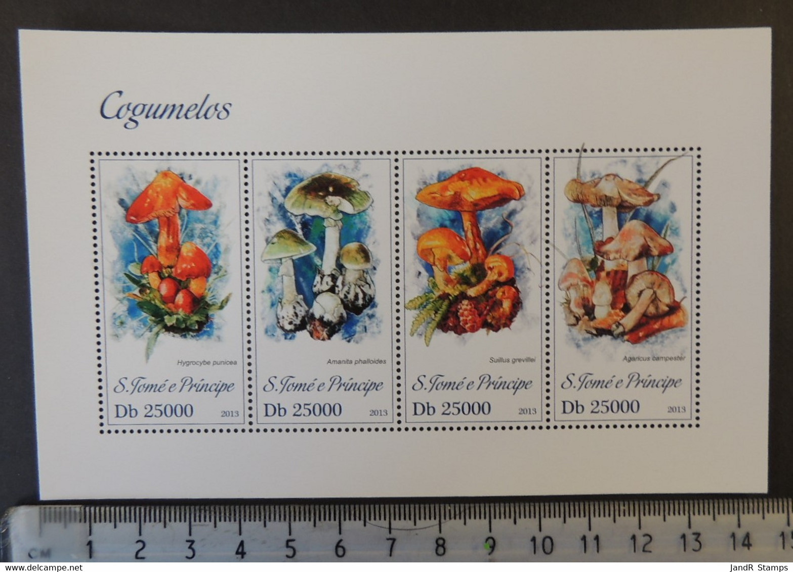 St Thomas 2013 Mushrooms Fungi M/sheet Mnh - Feuilles Complètes Et Multiples