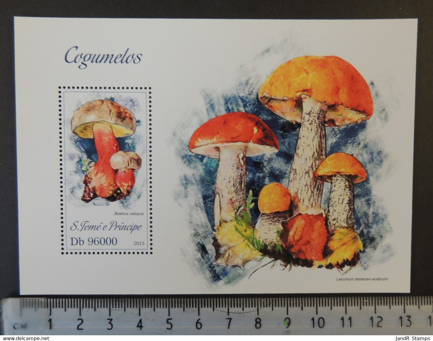 St Thomas 2013 Mushrooms Fungi S/sheet Mnh - Full Sheets & Multiples