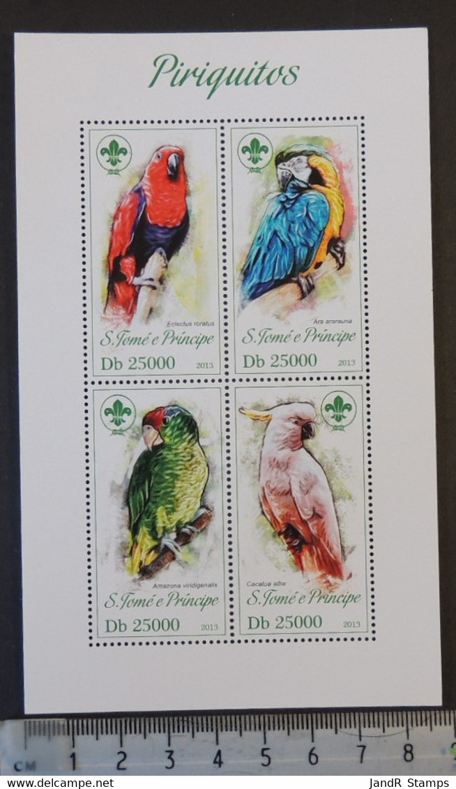 St Thomas 2013 Birds Parrots Scouts M/sheet Mnh - Feuilles Complètes Et Multiples