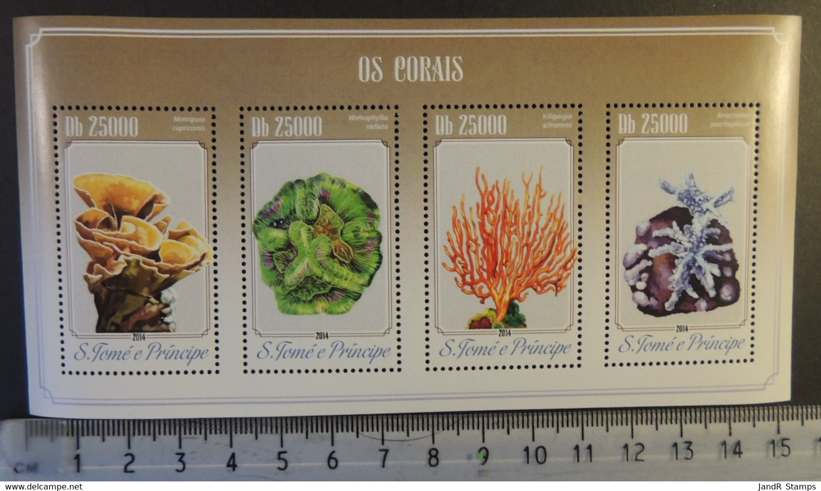 St Thomas 2014 Corals Marine Life M/sheet Mnh - Hojas Completas