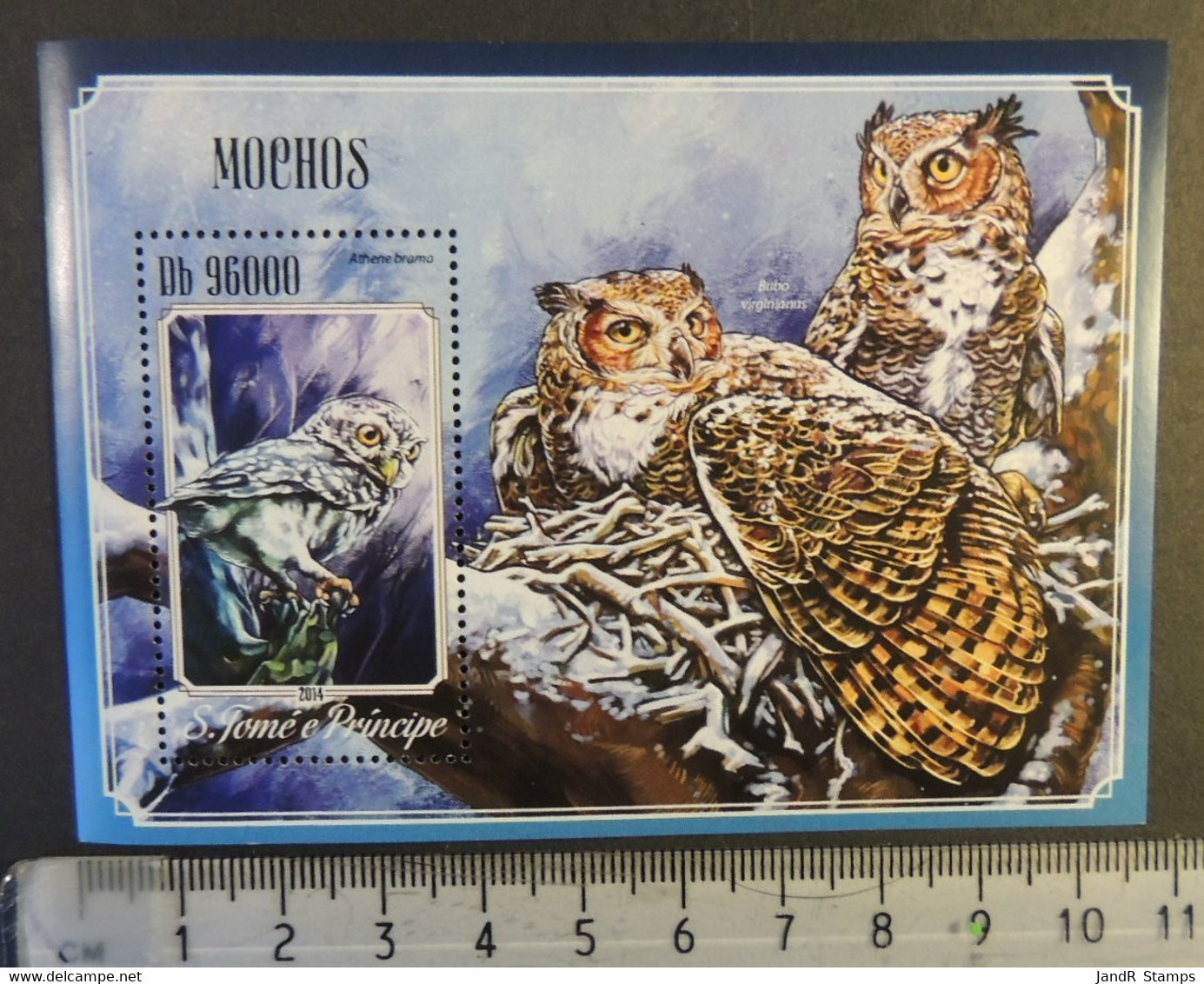 St Thomas 2014 Owls Birds Of Prey S/sheet Mnh - Feuilles Complètes Et Multiples