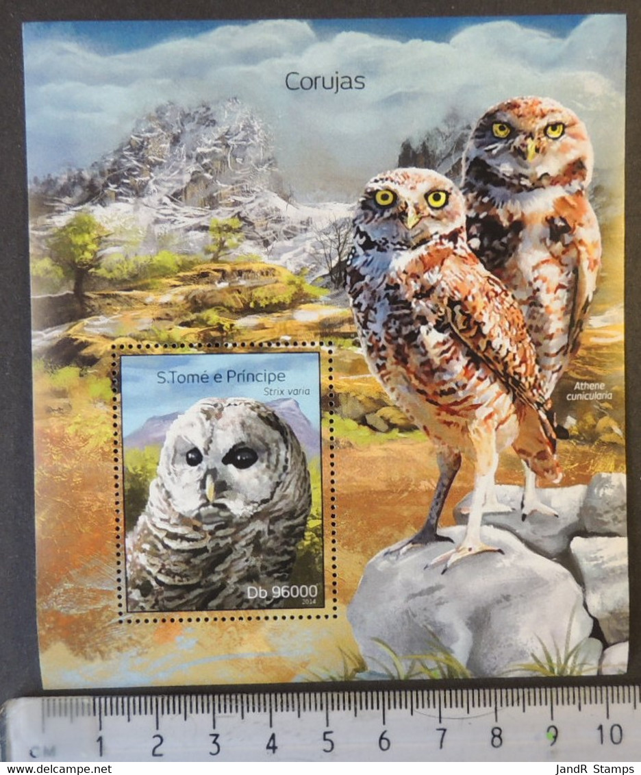 St Thomas 2014 Owls Birds Of Prey S/sheet Mnh #2 - Ganze Bögen