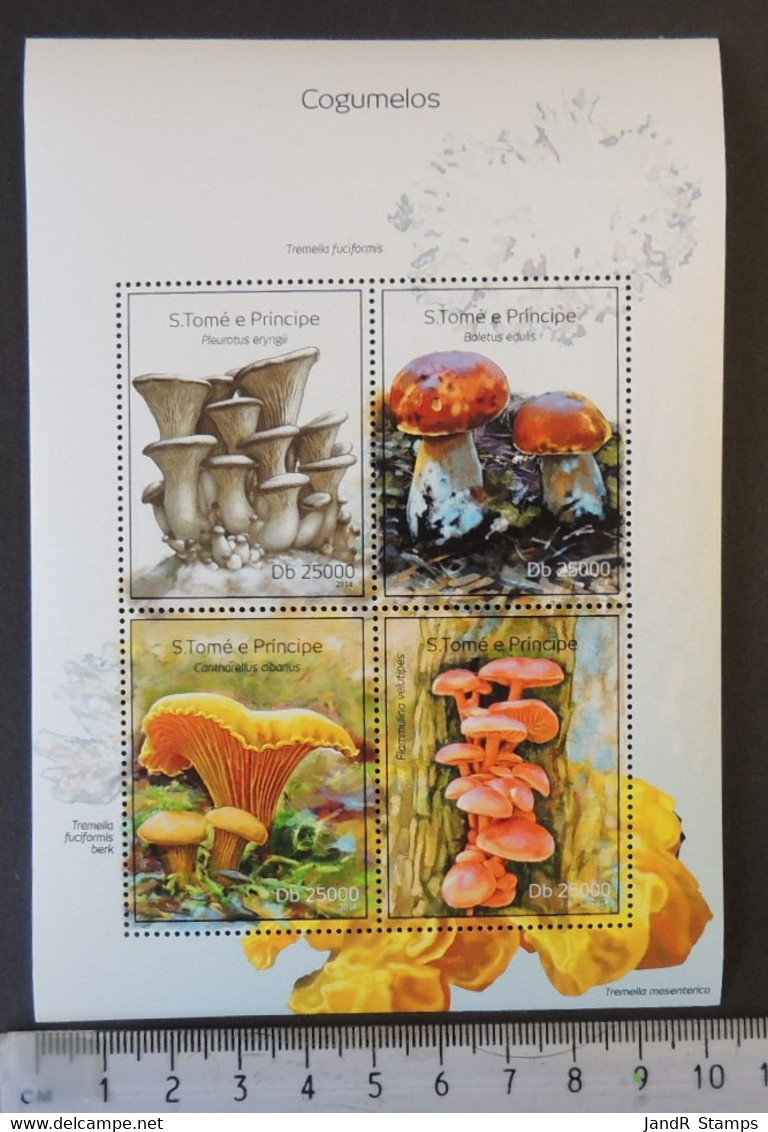 St Thomas 2014 Mushrooms Fungi M/sheet Mnh #2 - Volledige & Onvolledige Vellen