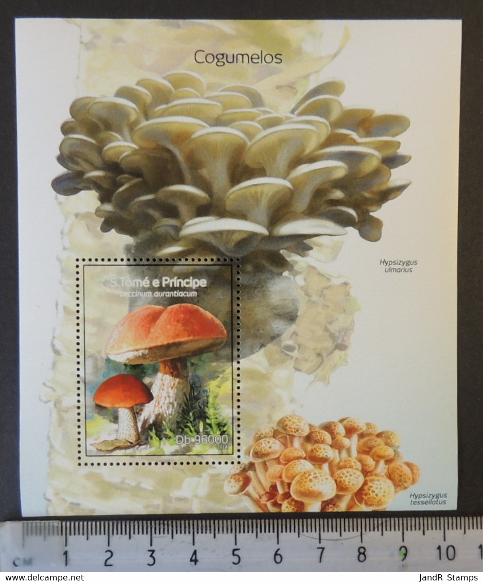 St Thomas 2014 Mushrooms Fungi S/sheet Mnh #2 - Full Sheets & Multiples