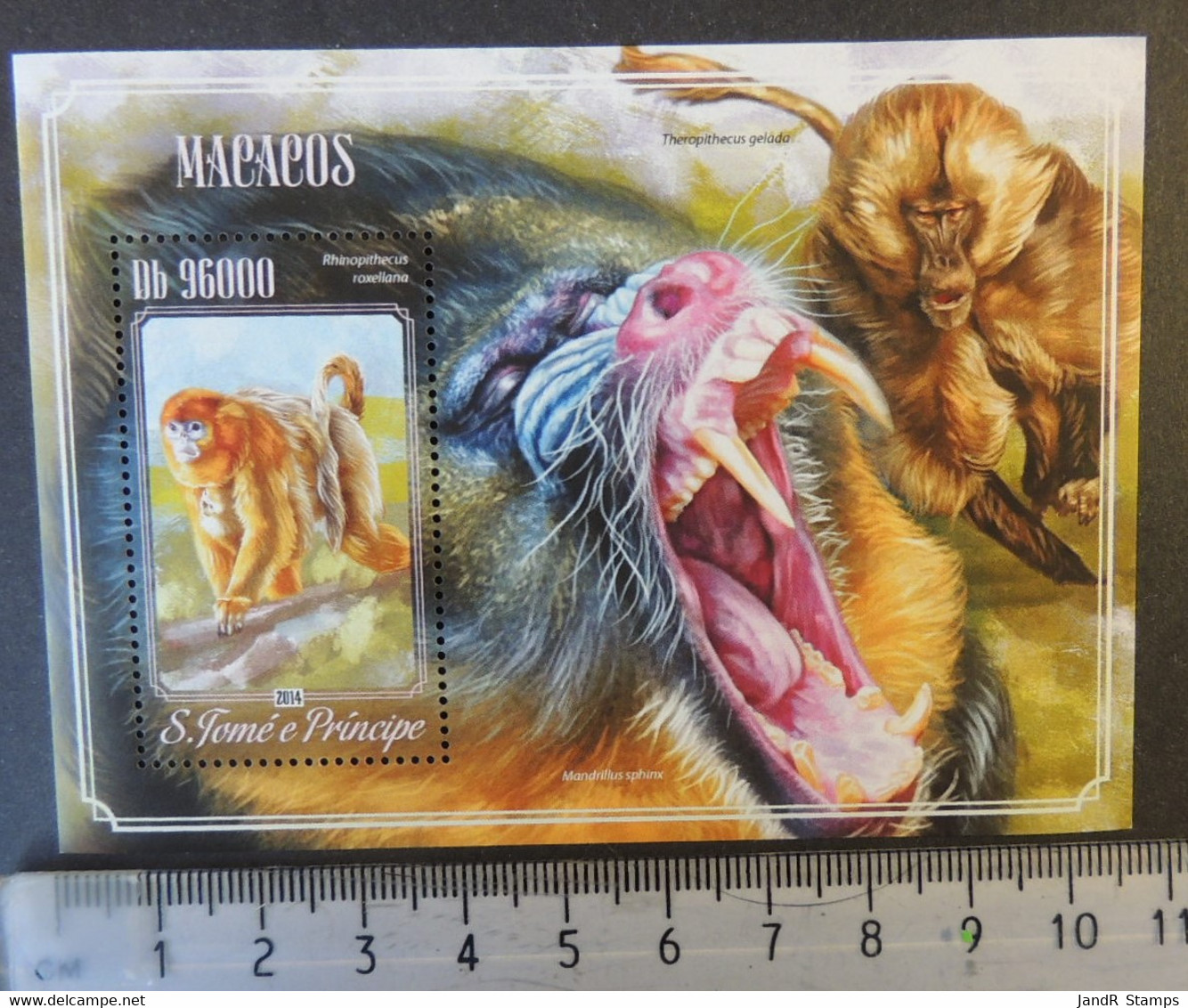 St Thomas 2014 Monkeys Apes Animals S/sheet Mnh - Feuilles Complètes Et Multiples