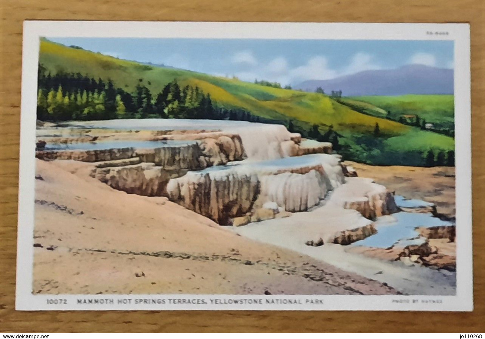 10072 Mammoth Hot Springs Terraces Yellowstone National Park - Yellowstone