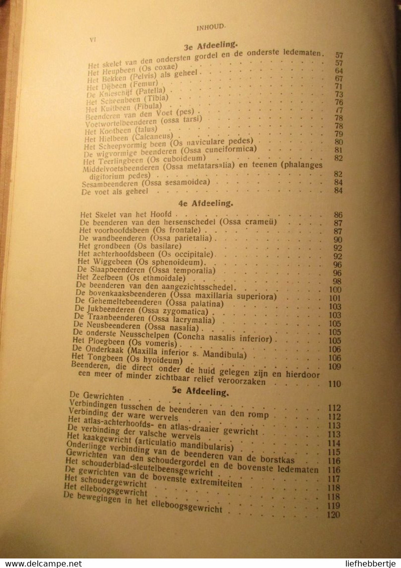 Anatomie Voor Kunstenaars - Door J. Rykse - 1913 - Dessins