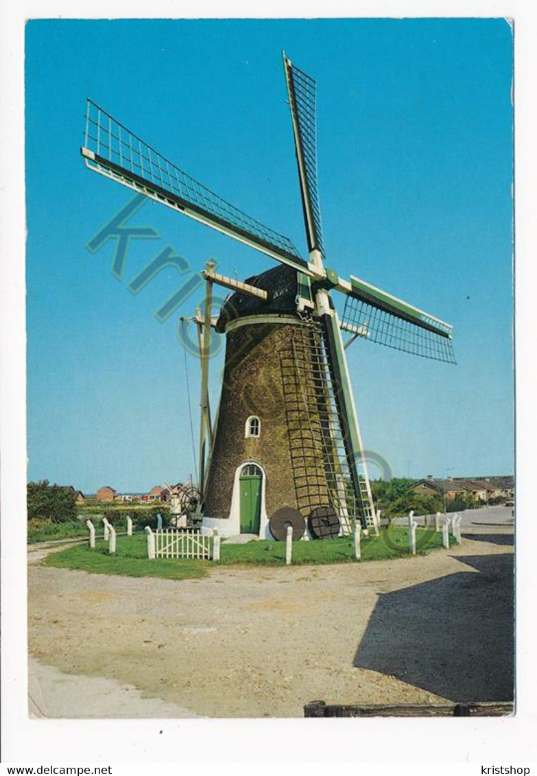 Zoutelande - Molen [AA49-7.325 - Autres & Non Classés