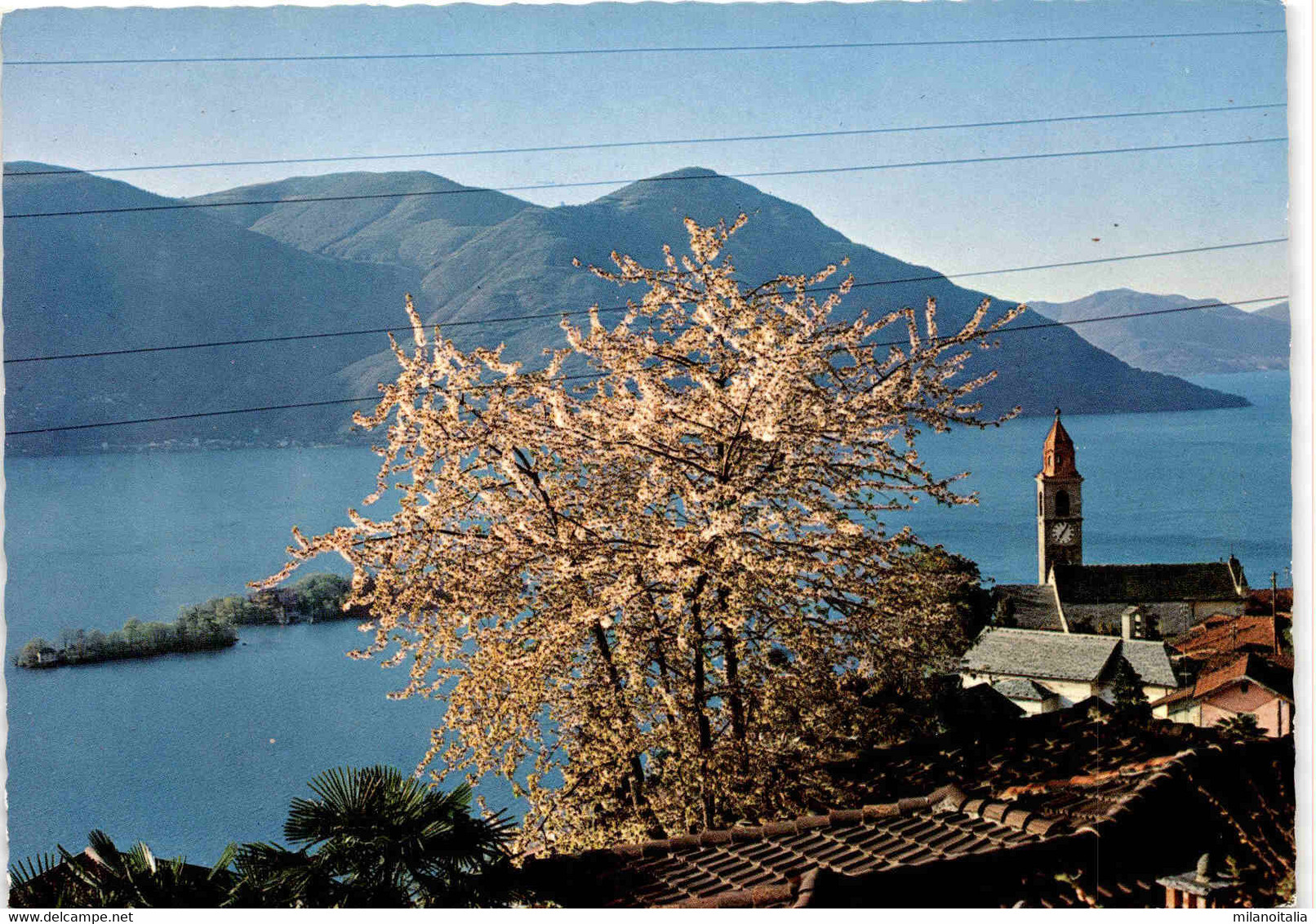 Ronco E Le Isole, Lago Maggiore (047) - Ronco Sopra Ascona