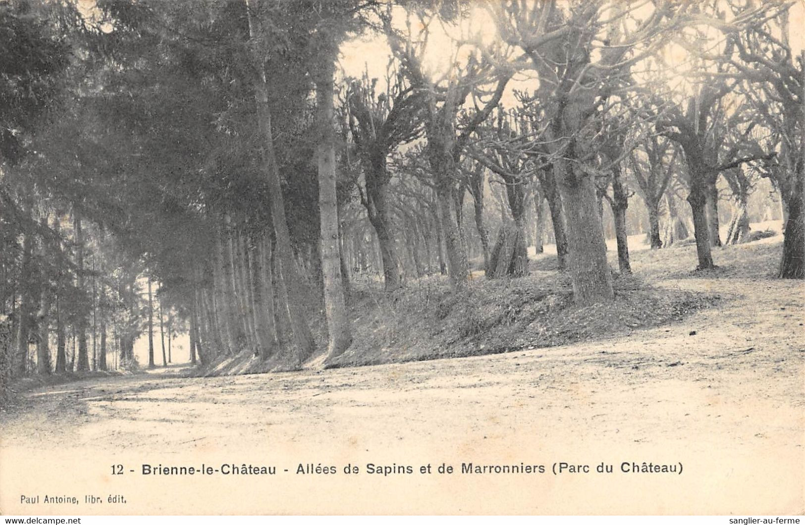 CPA 10 BRIENNE LE CHATEAU ALLEES DE SAPINS ET DE MARRONNIERS PARC DU CHATEAU - Andere & Zonder Classificatie