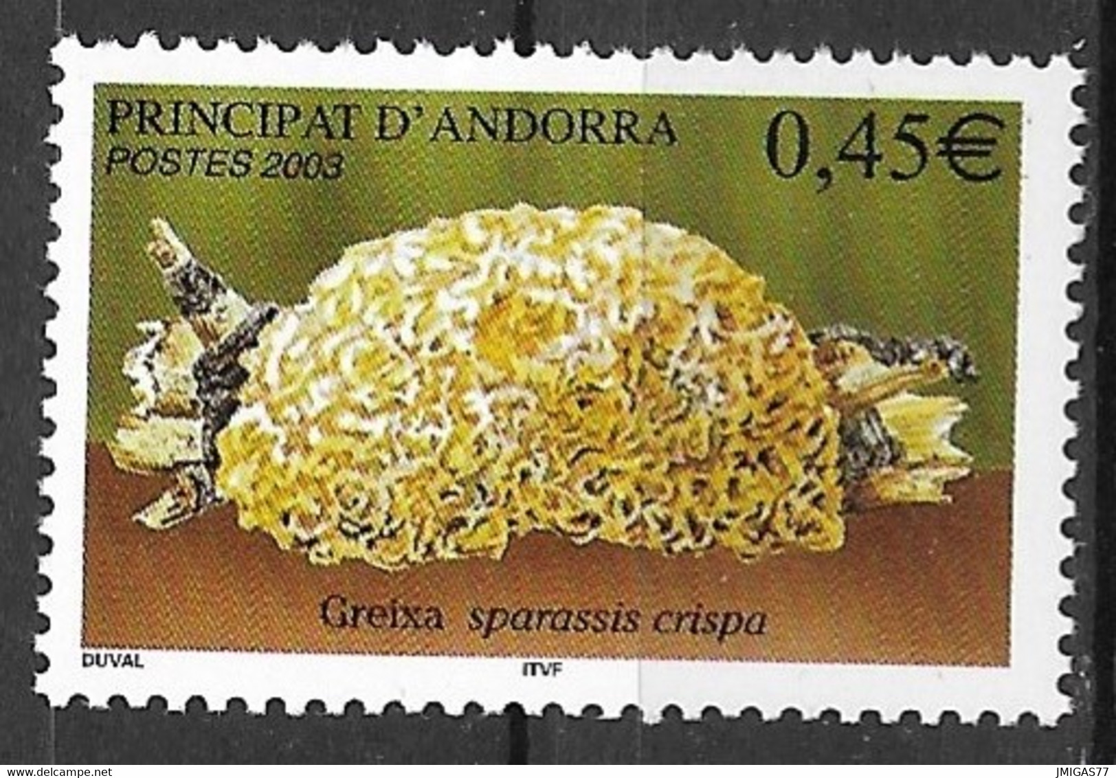 Andorre Français N° 584 - Unused Stamps