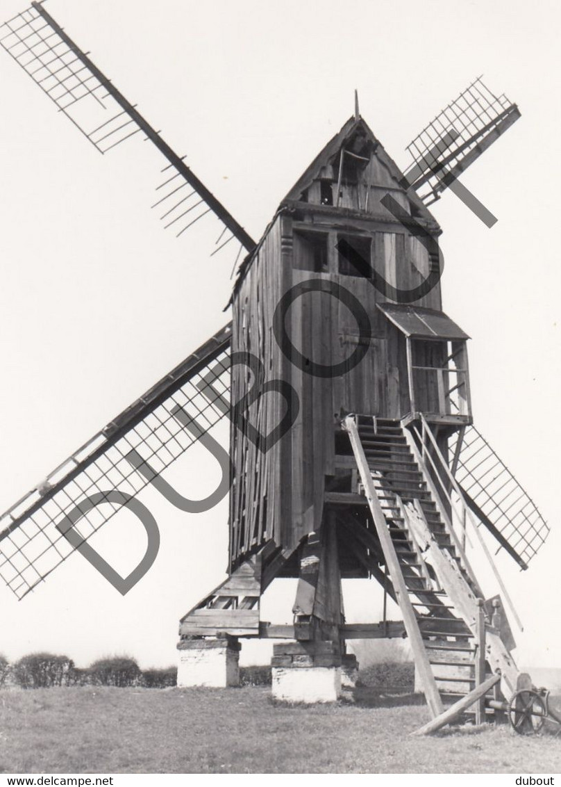 MEULEBEKE Molen / Moulin - Originele Foto Jaren '70  - Bosterhoutmolen , Bosterhoutdreef (Q88) - Meulebeke