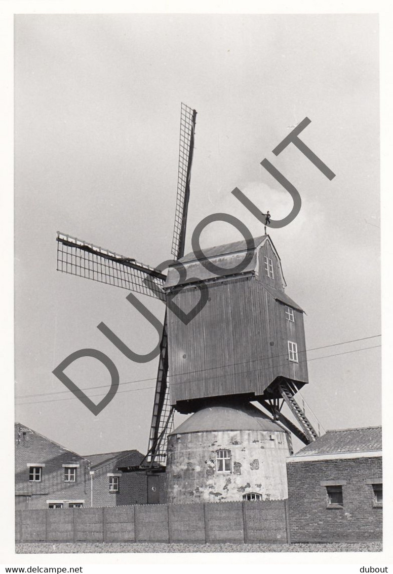 MEULEBEKE Molen / Moulin - Originele Foto Jaren '70   (Q40) - Meulebeke