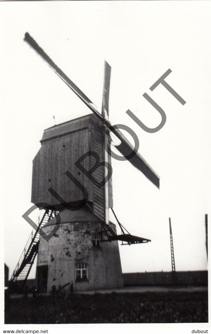 MEULEBEKE Molen / Moulin - Originele Foto Jaren '70   (Q41) - Meulebeke