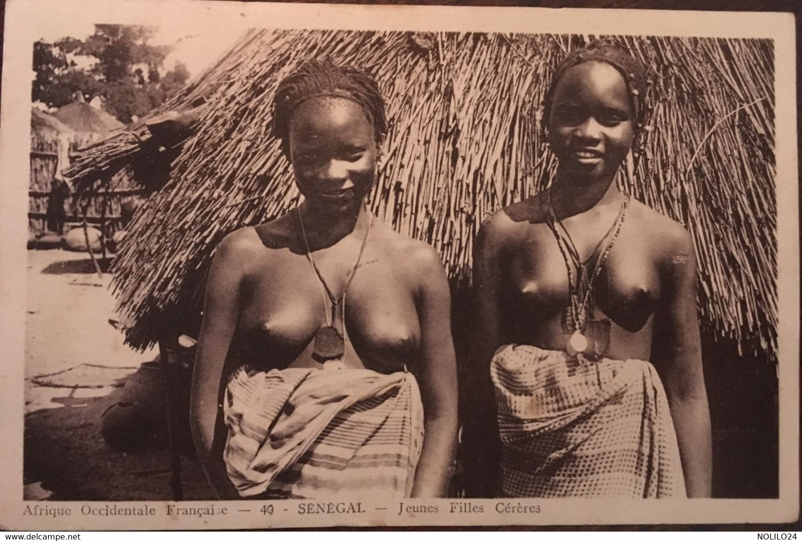 Cpa Afrique Occidentale Française ,Sénégal Jeunes Filles Cérères (seins Nus), éd Hélou, écrite - Sénégal