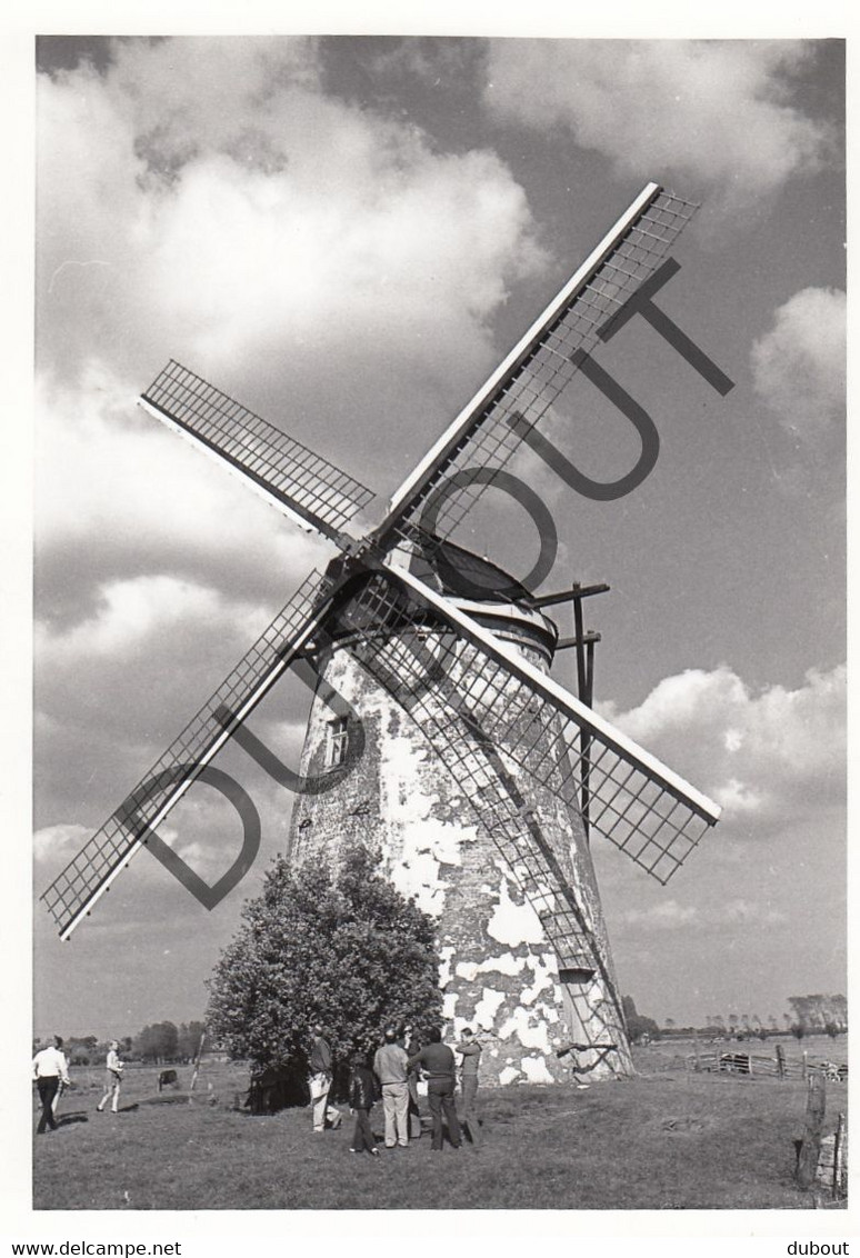 MEETKERKE - Molen / Moulin - Originele Foto Jaren '70   (Q50) - Zuienkerke