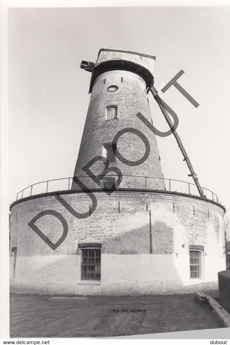 ZWEVEGEM - Molen / Moulin - Originele Foto Jaren '70 - De Klockemolen Twee Molenstraat  (Q118) - Zwevegem