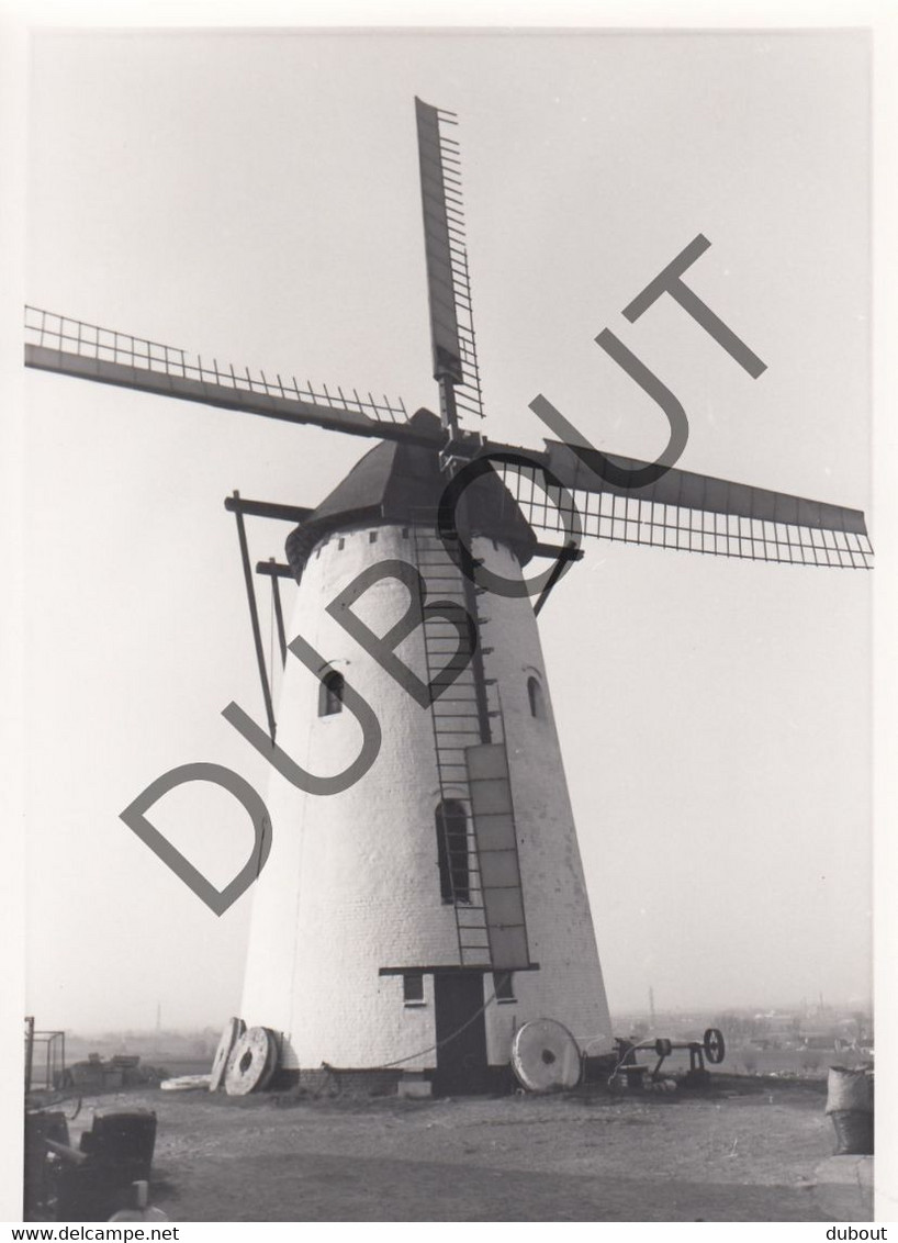 SINT-DENIJS/ZWEVEGEM - Molen / Moulin - Originele Foto Jaren '70 - Molen Ter Claere - Perrestraat (Q95) - Zwevegem