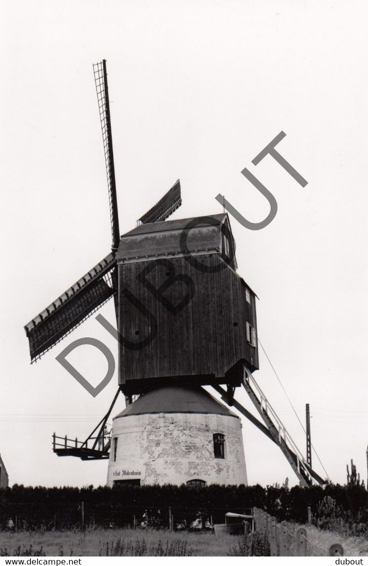 MEULEBEKE - Molen / Moulin - Originele Foto Jaren '70 (Q39) - Meulebeke