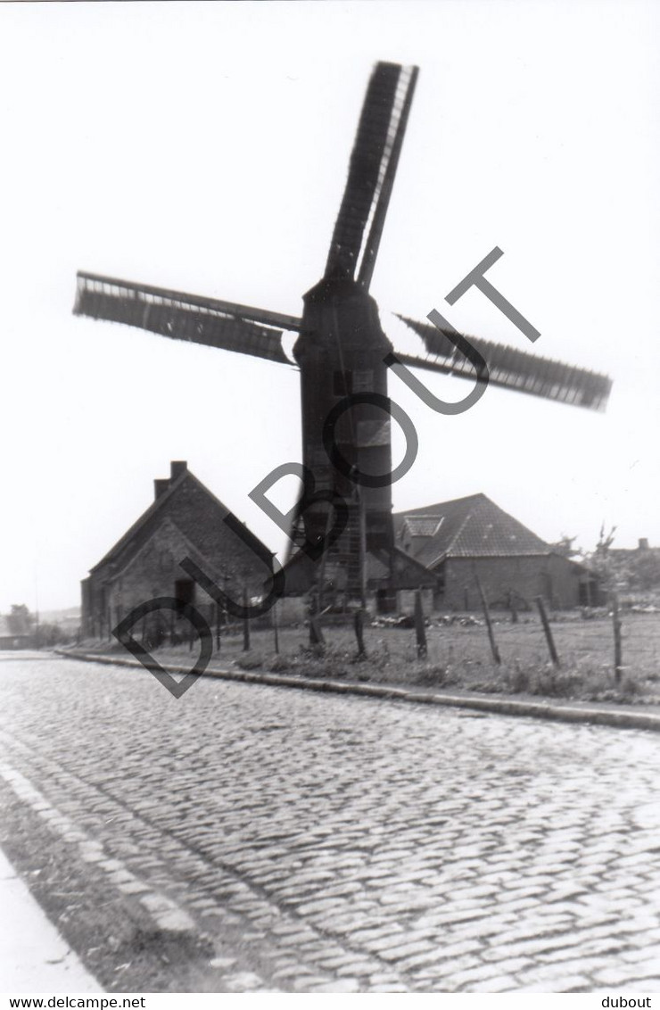 MOEN/Zwevegem - Molen / Moulin - Originele Foto Jaren '70 (Q24) - Zwevegem