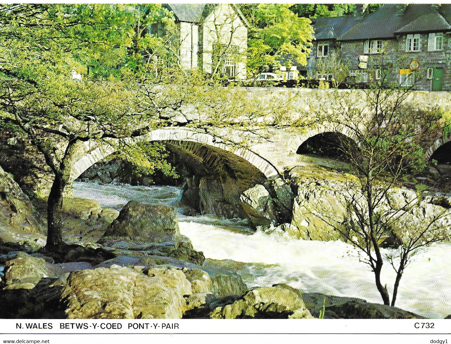 PONT-Y-PAIR, BETWS-Y-COED, CONWY, NORTH WALES. UNUSED POSTCARD  Ph3 - Carmarthenshire