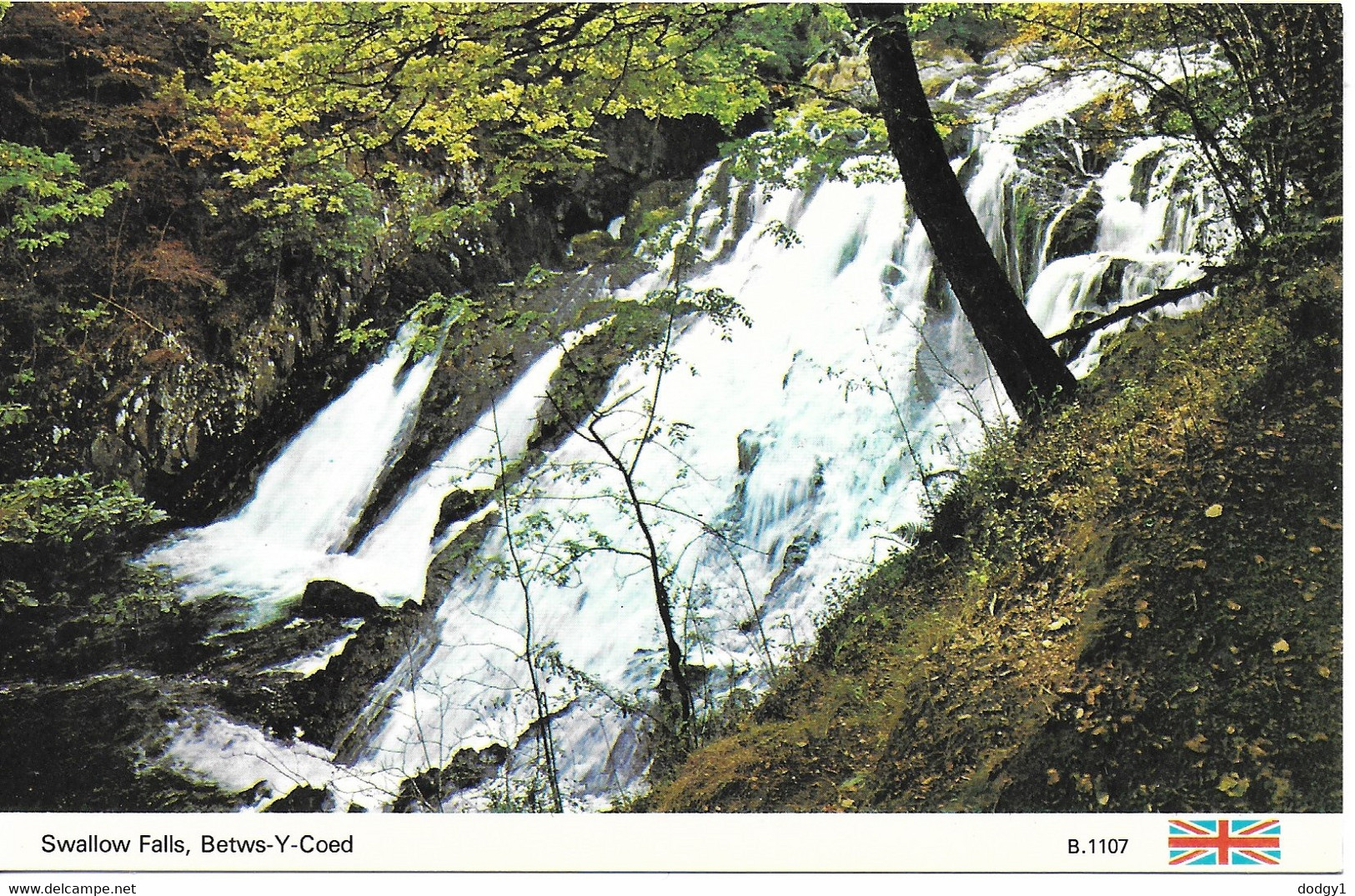 SWALLOW FALLS, BETWS-Y-COED, CONWY, NORTH WALES. UNUSED POSTCARD  Ph3 - Carmarthenshire