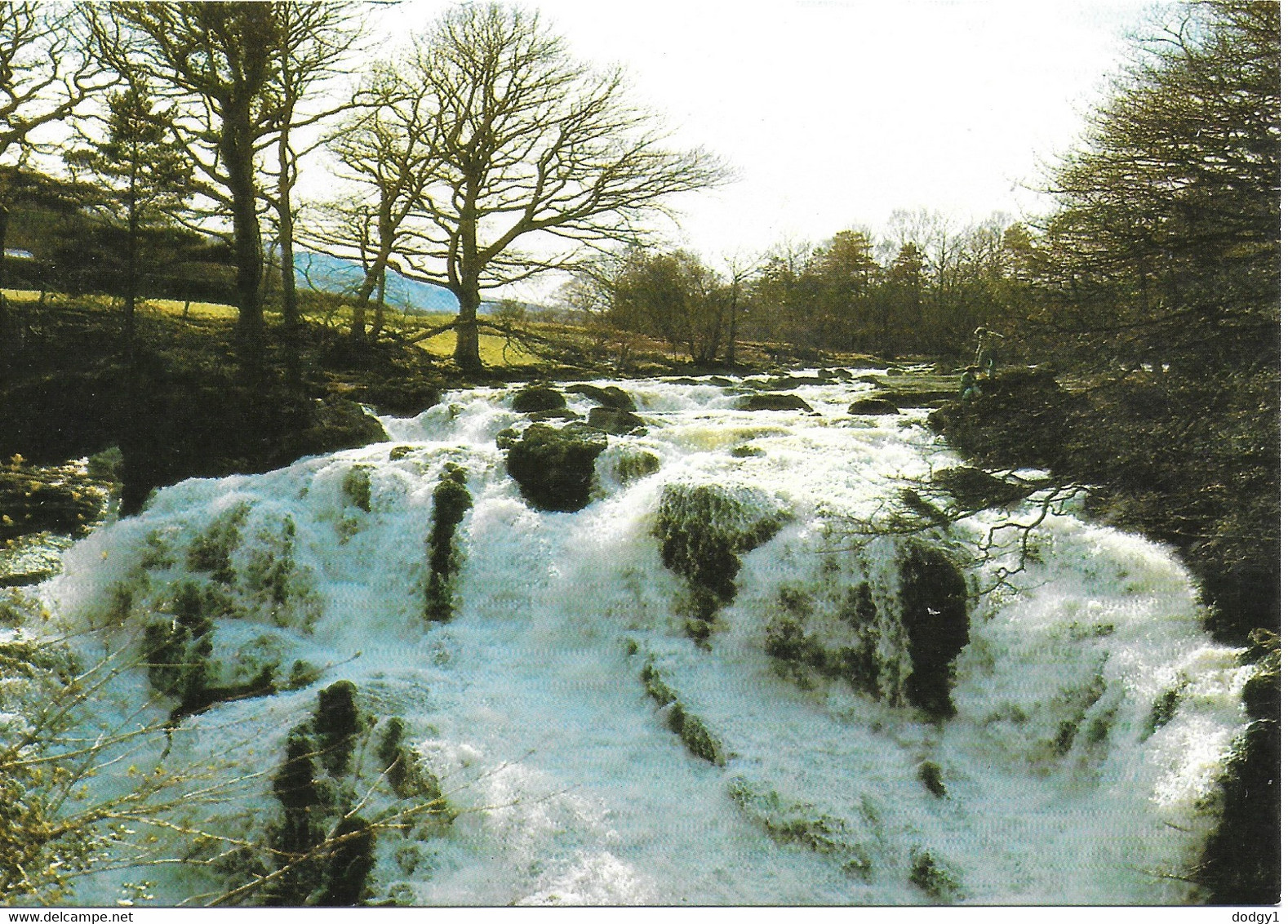 SWALLOW FALLS, BETWS-Y-COED, CONWY, NORTH WALES. UNUSED POSTCARD  Ph3 - Carmarthenshire