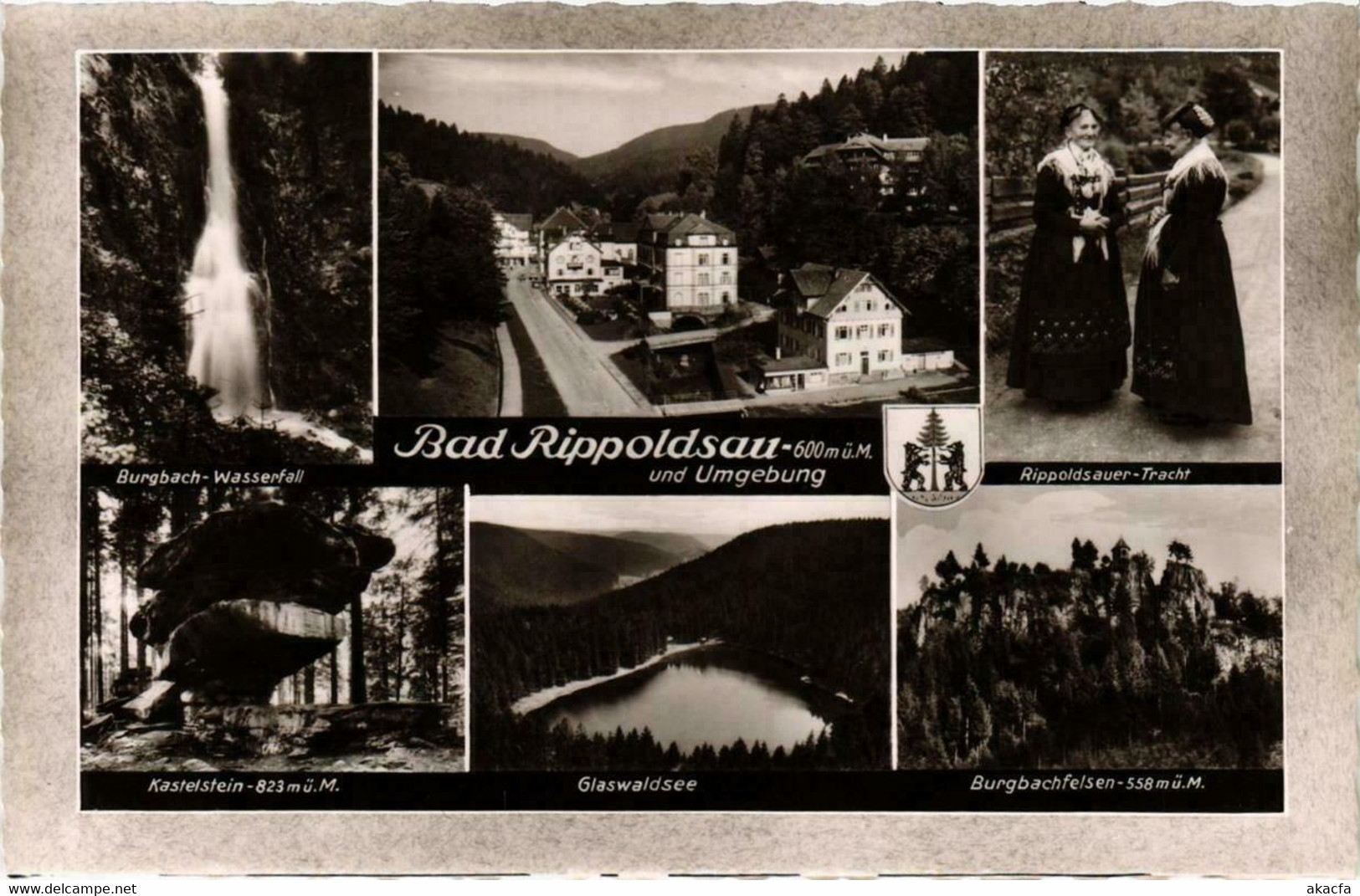 CPA AK Bad Rippoldsau Im Schwarzwald GERMANY (738770) - Bad Rippoldsau - Schapbach