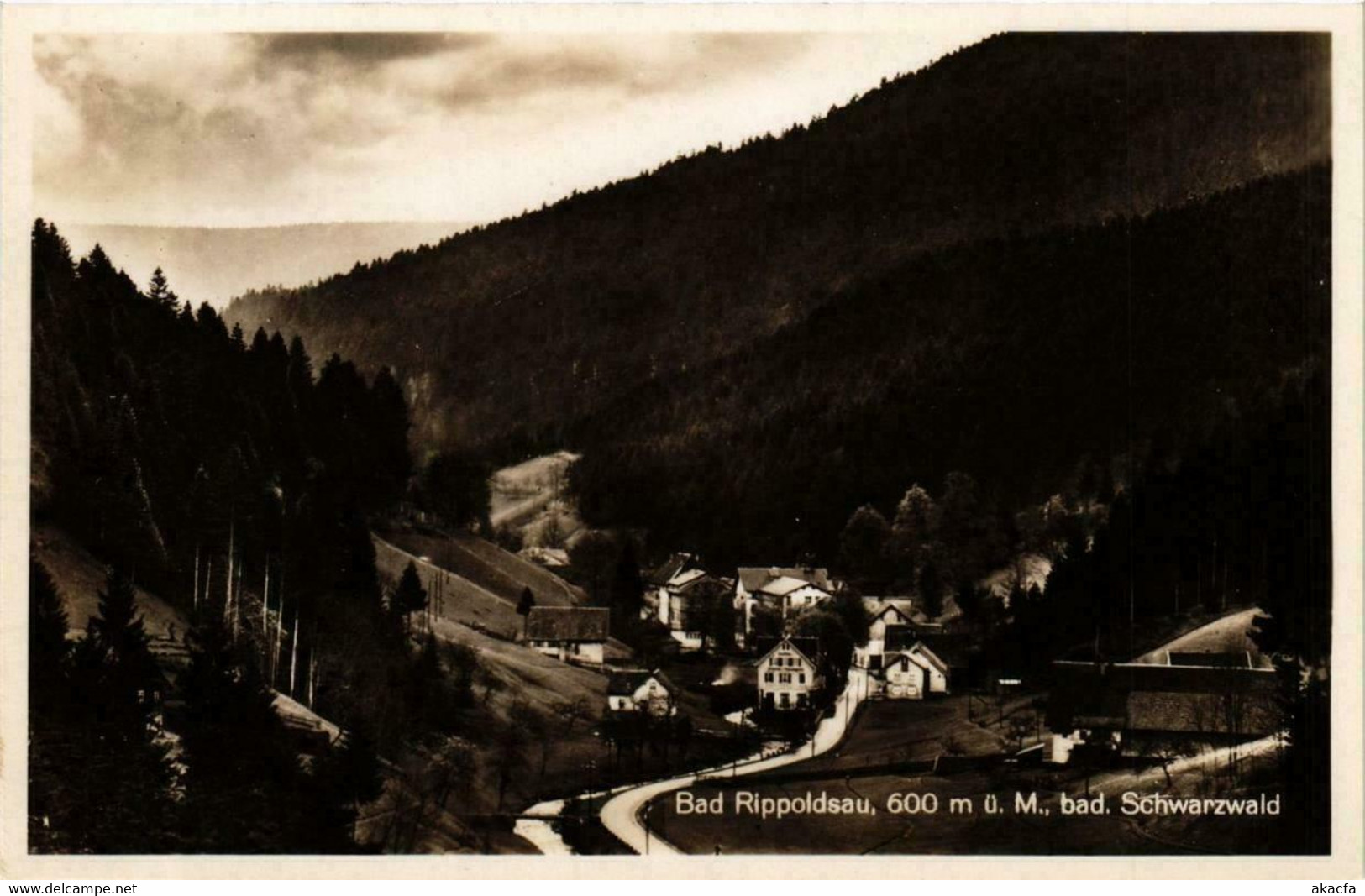 CPA AK Bad Rippoldsau GERMANY (738785) - Bad Rippoldsau - Schapbach