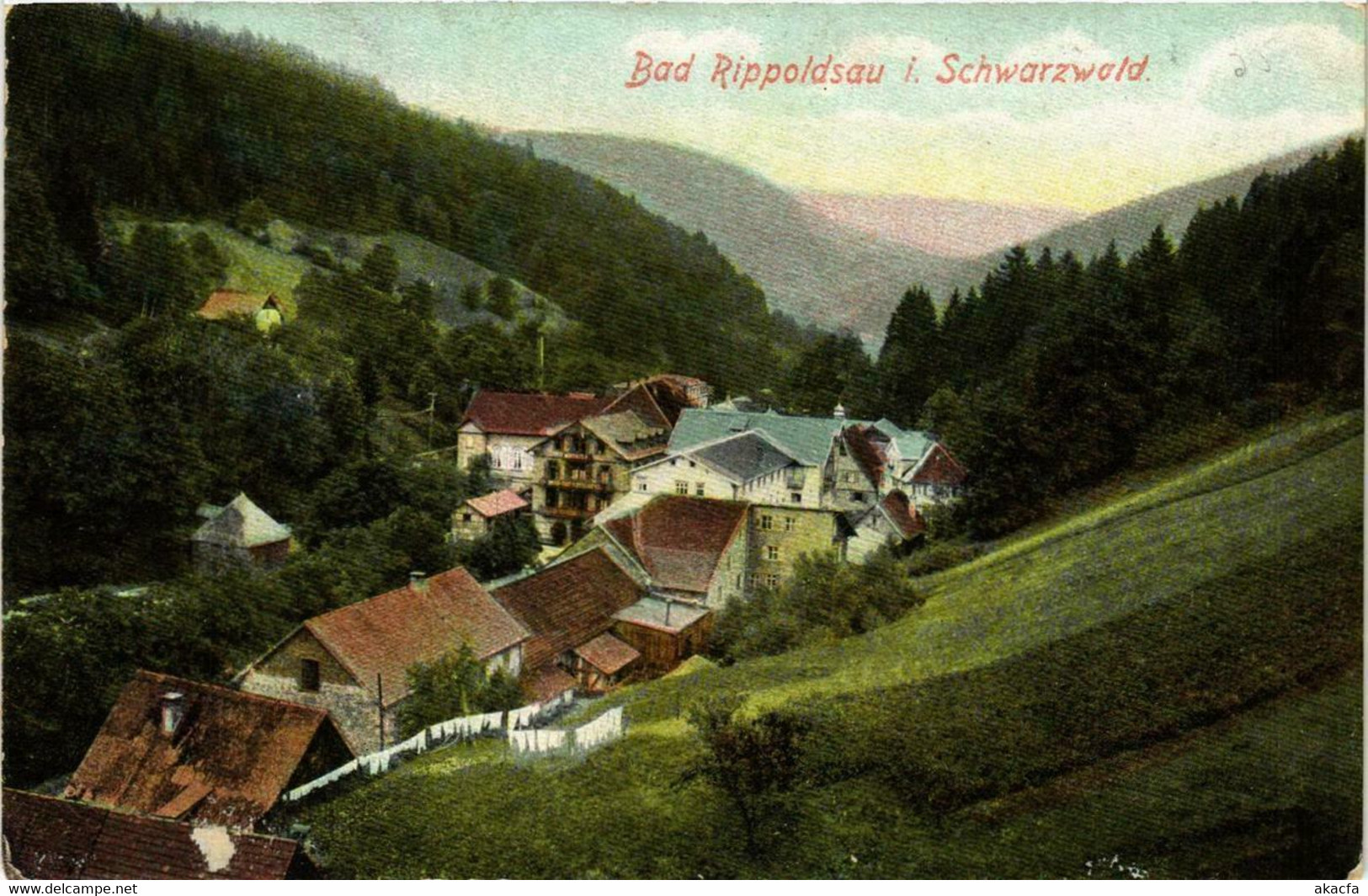 CPA AK Bad Rippoldsau Im Schwarzwald GERMANY (738787) - Bad Rippoldsau - Schapbach