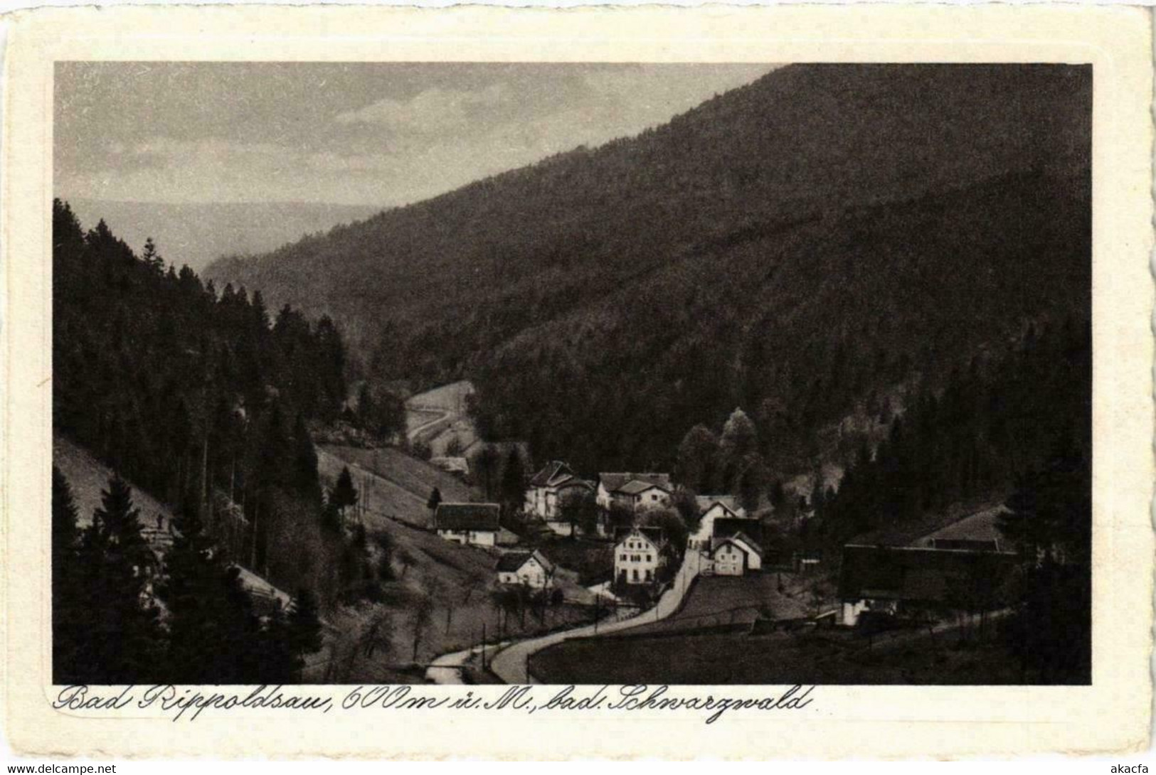 CPA AK Bad Rippoldsau GERMANY (738813) - Bad Rippoldsau - Schapbach