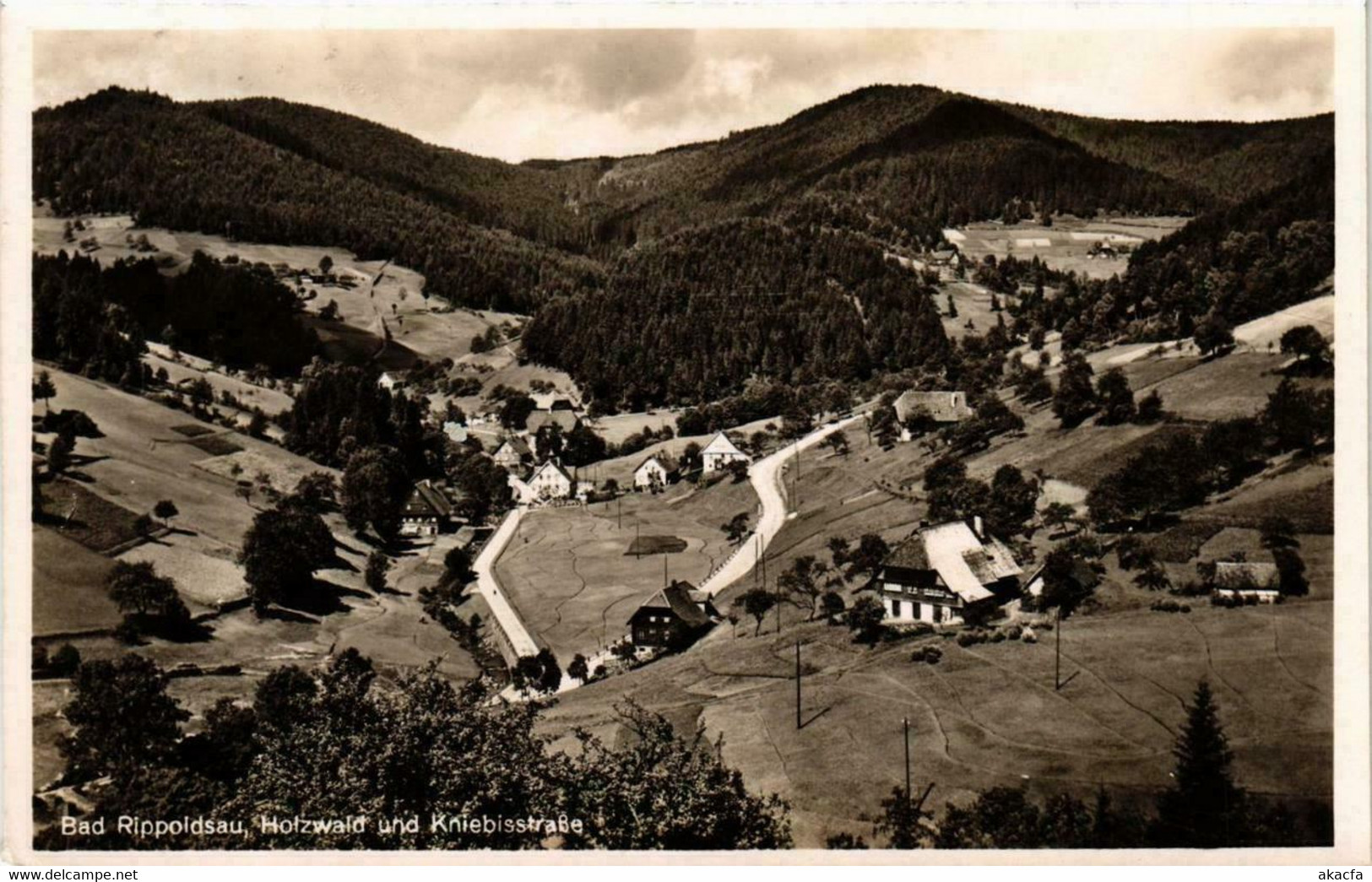 CPA AK Bad Rippoldsau Hotzwald Und Kniebisstraße GERMANY (738814) - Bad Rippoldsau - Schapbach