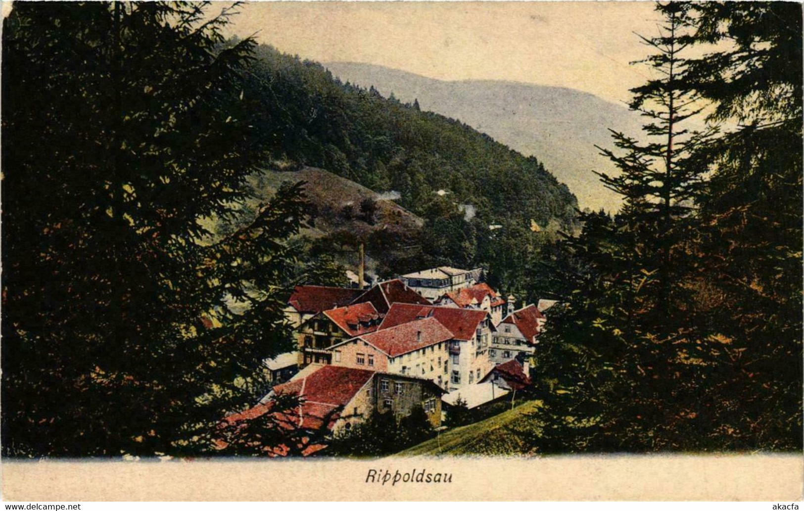 CPA AK Rippoldsau GERMANY (738820) - Bad Rippoldsau - Schapbach