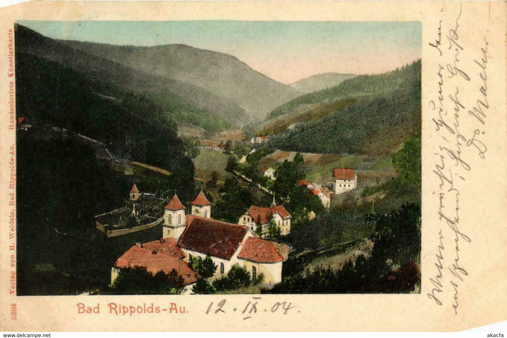 CPA AK Bad Rippolds-Au GERMANY (738822) - Bad Rippoldsau - Schapbach