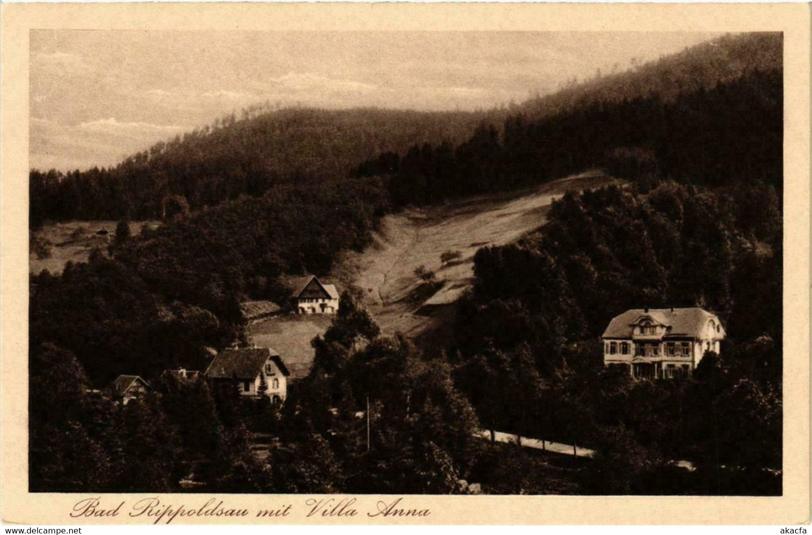 CPA AK Bad Rippoldsau Mit Villa Anna GERMANY (738826) - Bad Rippoldsau - Schapbach
