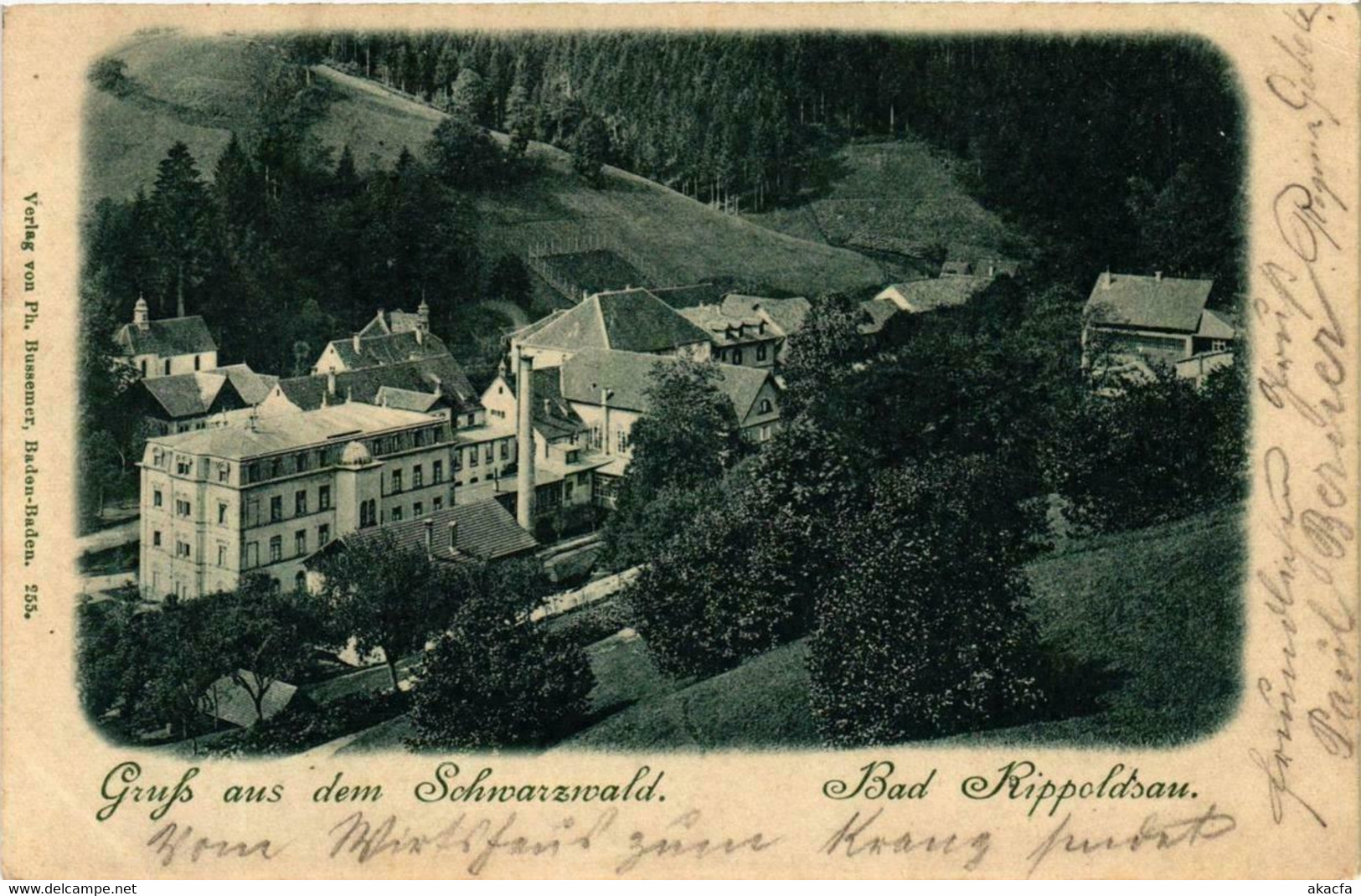 CPA AK Grufs Aus Dem Schwarznald GERMANY (738827) - Bad Rippoldsau - Schapbach