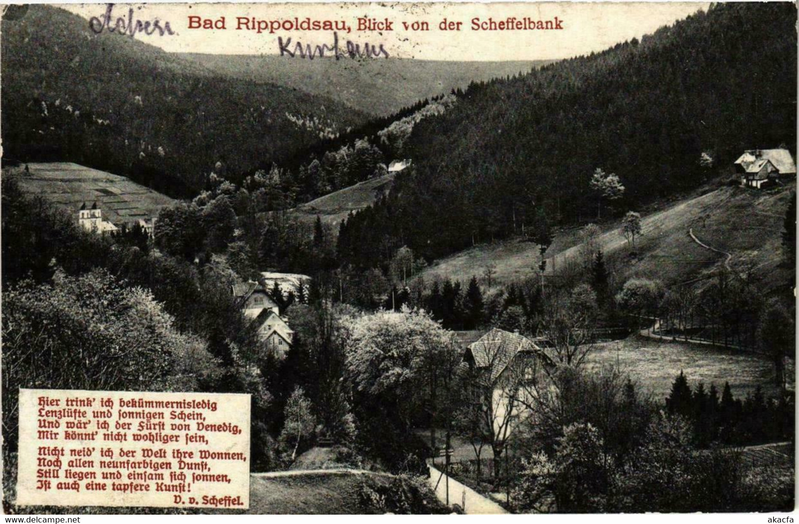 CPA AK Bad Rippoldsau Blick Von Der Scheffelbank GERMANY (738828) - Bad Rippoldsau - Schapbach