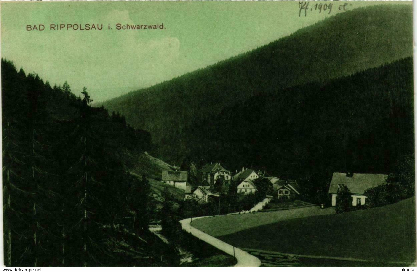 CPA AK Bad Rippoldsau Im Schwarzwald GERMANY (738831) - Bad Rippoldsau - Schapbach