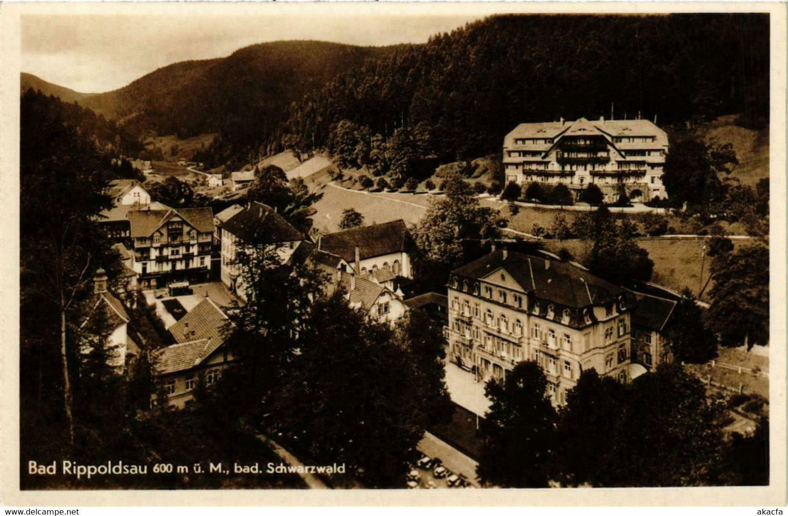 CPA AK Bad Rippoldsau GERMANY (738834) - Bad Rippoldsau - Schapbach