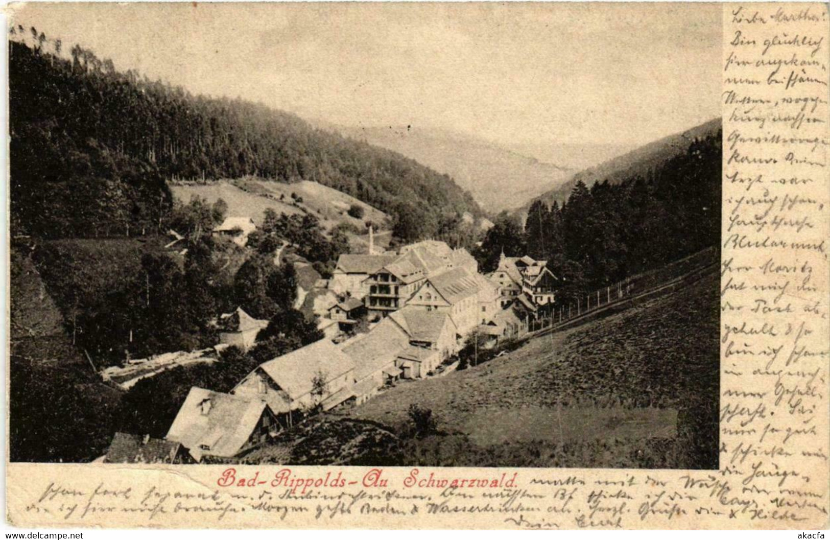 CPA AK Bad Rippoldsau Au. Schwarzwald GERMANY (738843) - Bad Rippoldsau - Schapbach